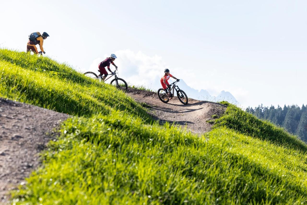Alm Seasons Premium Chalet & Studios Saalbach-Hinterglemm Kültér fotó